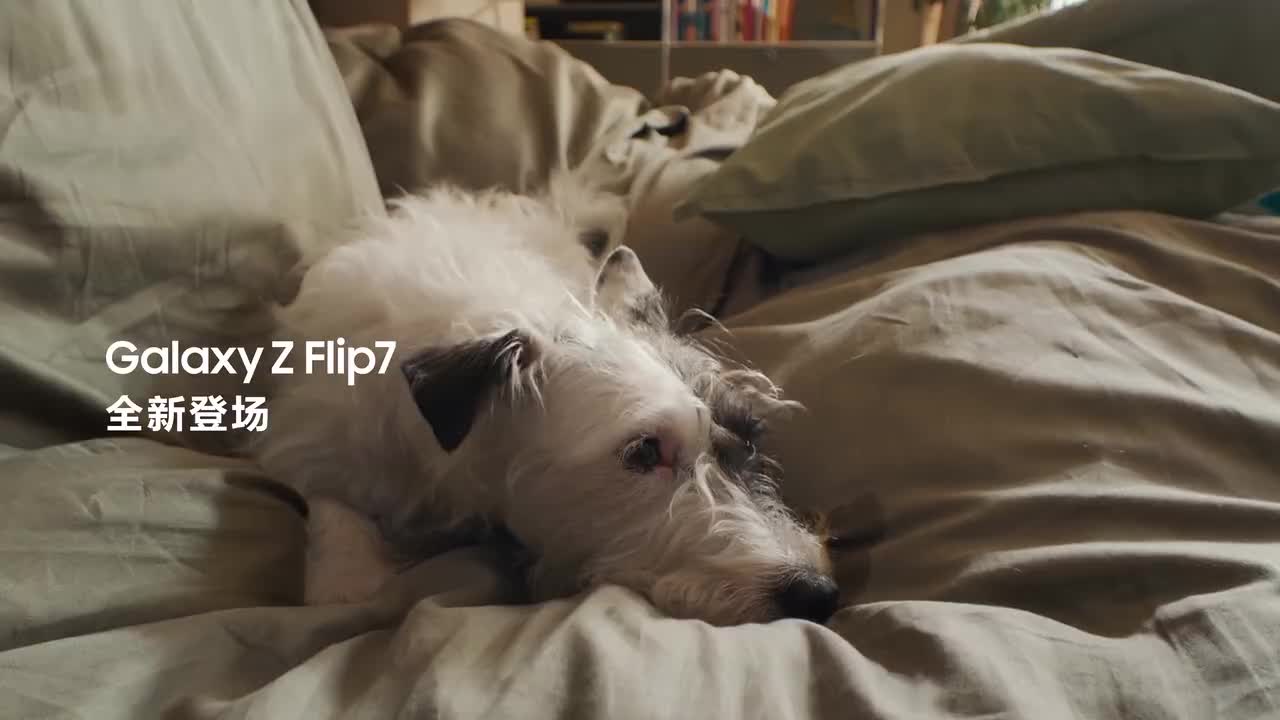 三星 Z Flip 7 5G 广告