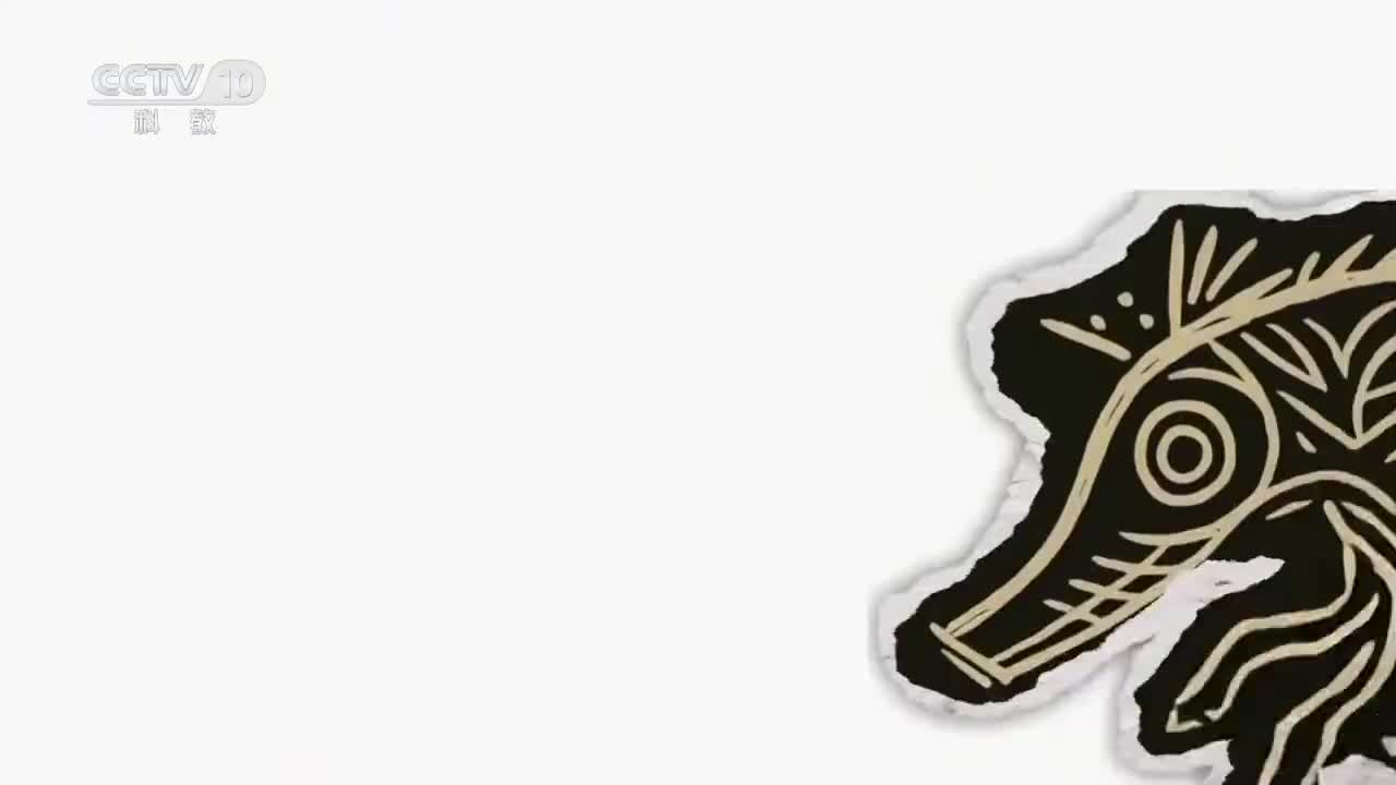 《动物驯化简史》猪：“猪”事顺利！猪陪伴人类走过漫长的9000年 是农业文明的基石【CCTV纪录】