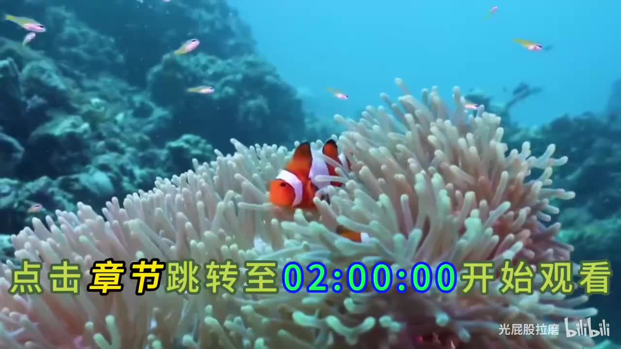 第5-6期