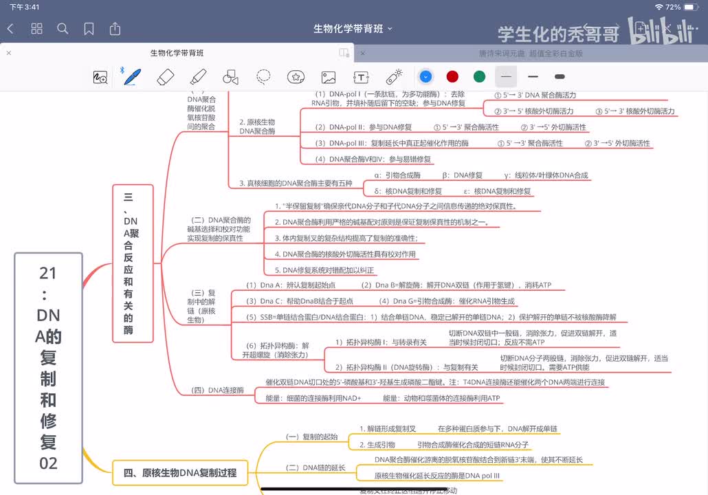 21：DNA的复制和修复02