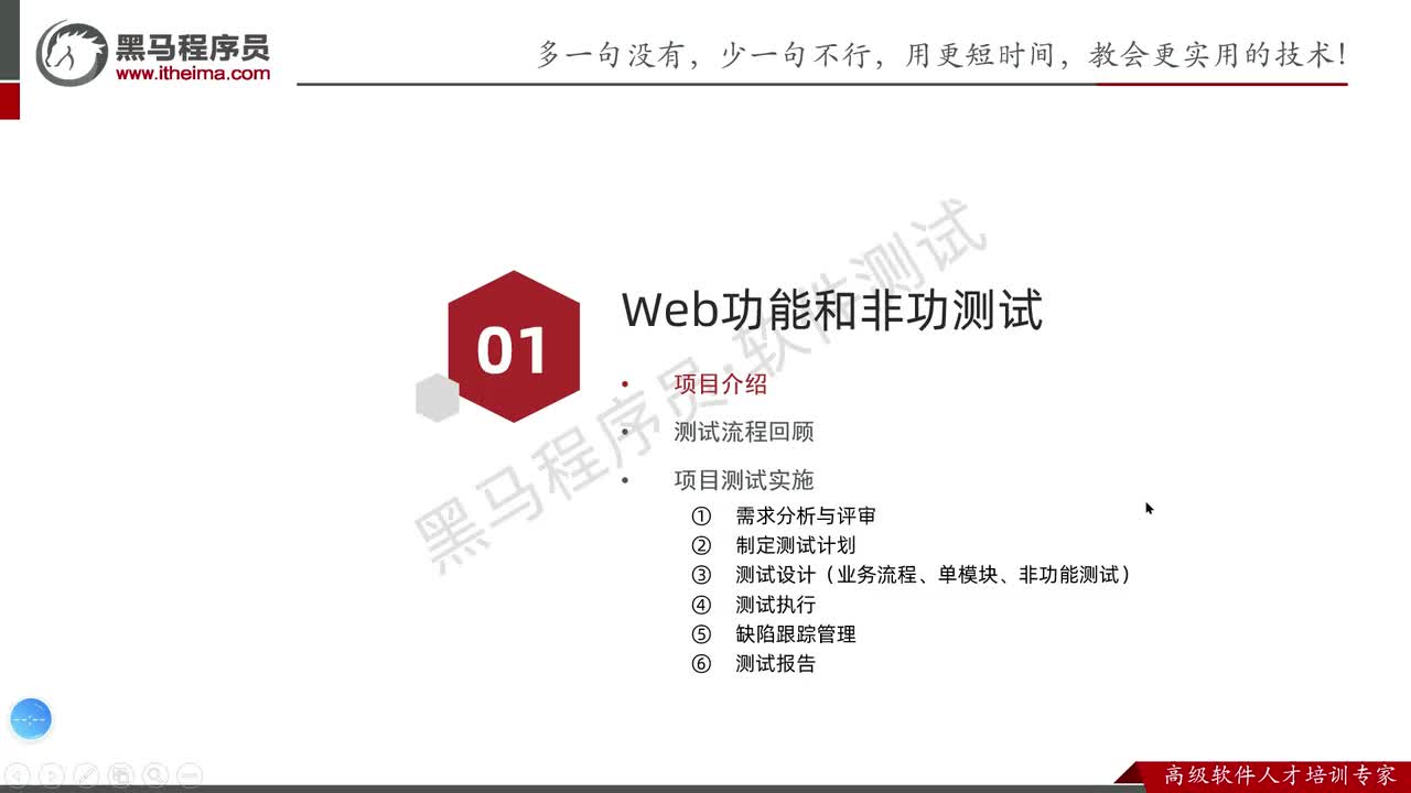 049.项目介绍