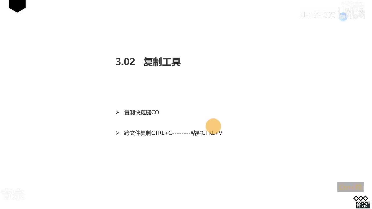 课时24：复制工具