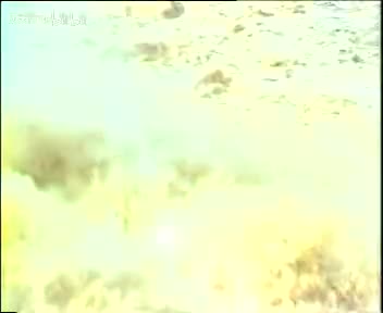 豫剧《杨家将》03 朱坤芳 袁国庆 杜建水 索文化 毛松奇