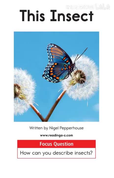 178-【078 A级】This Insect