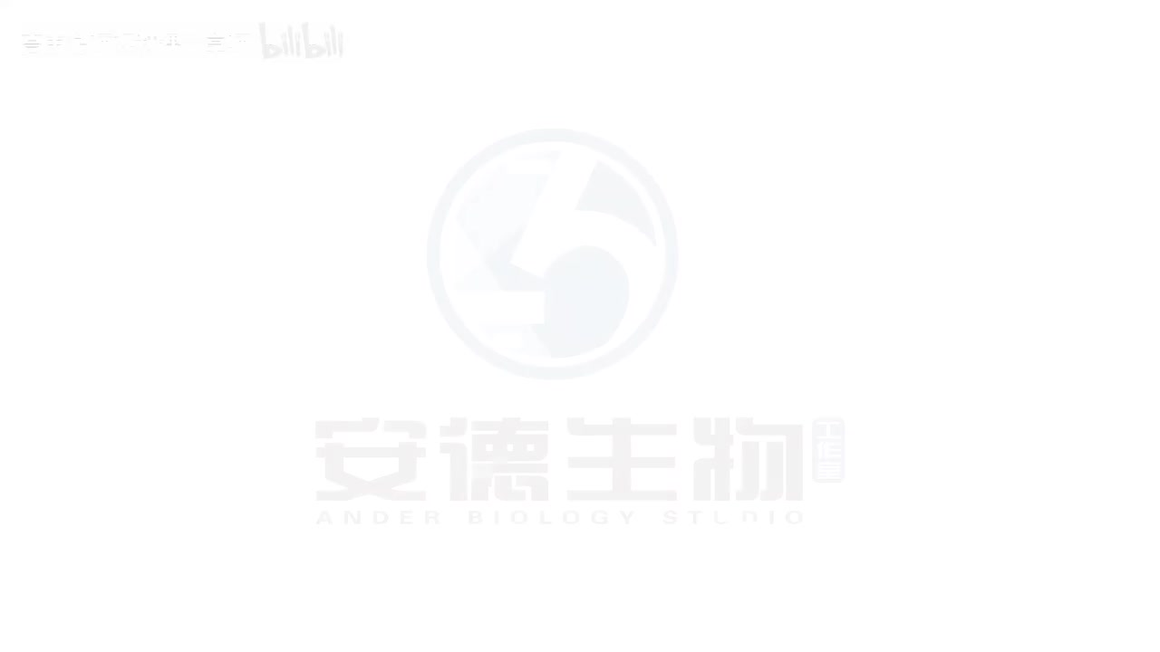 37.生态系统的功能