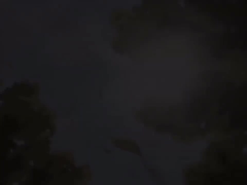 怪物51
