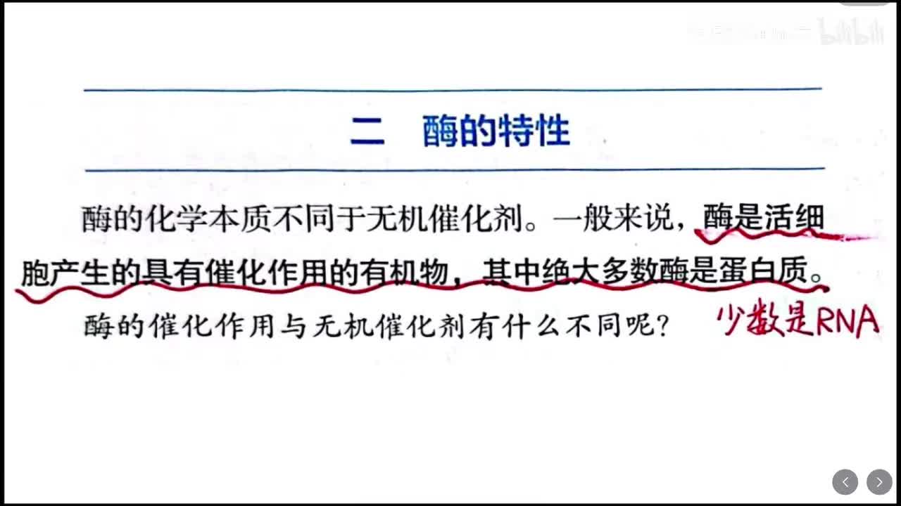 5.1 酶的性质和本质（第二课时）