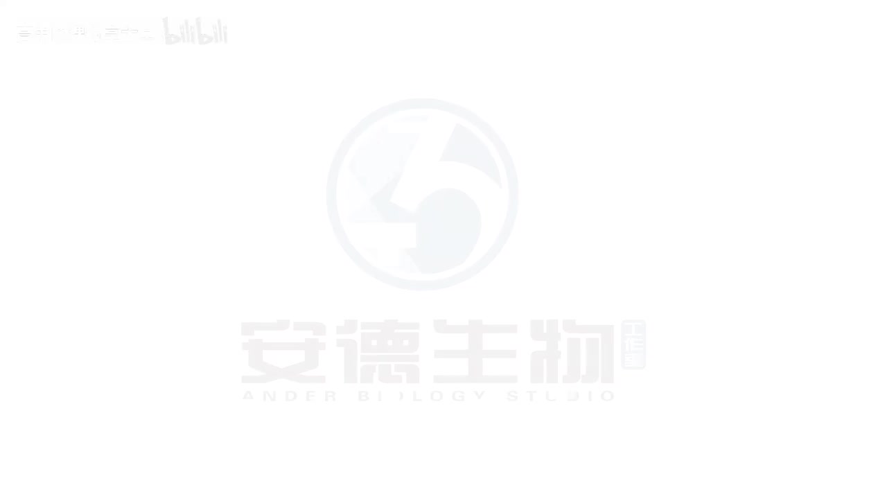 14.遗传的基本概念