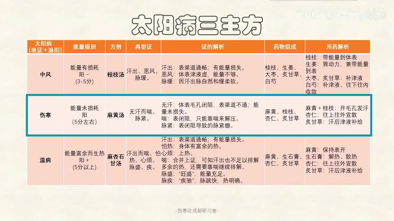 第三课：太阳病三主方（二）麻黄汤