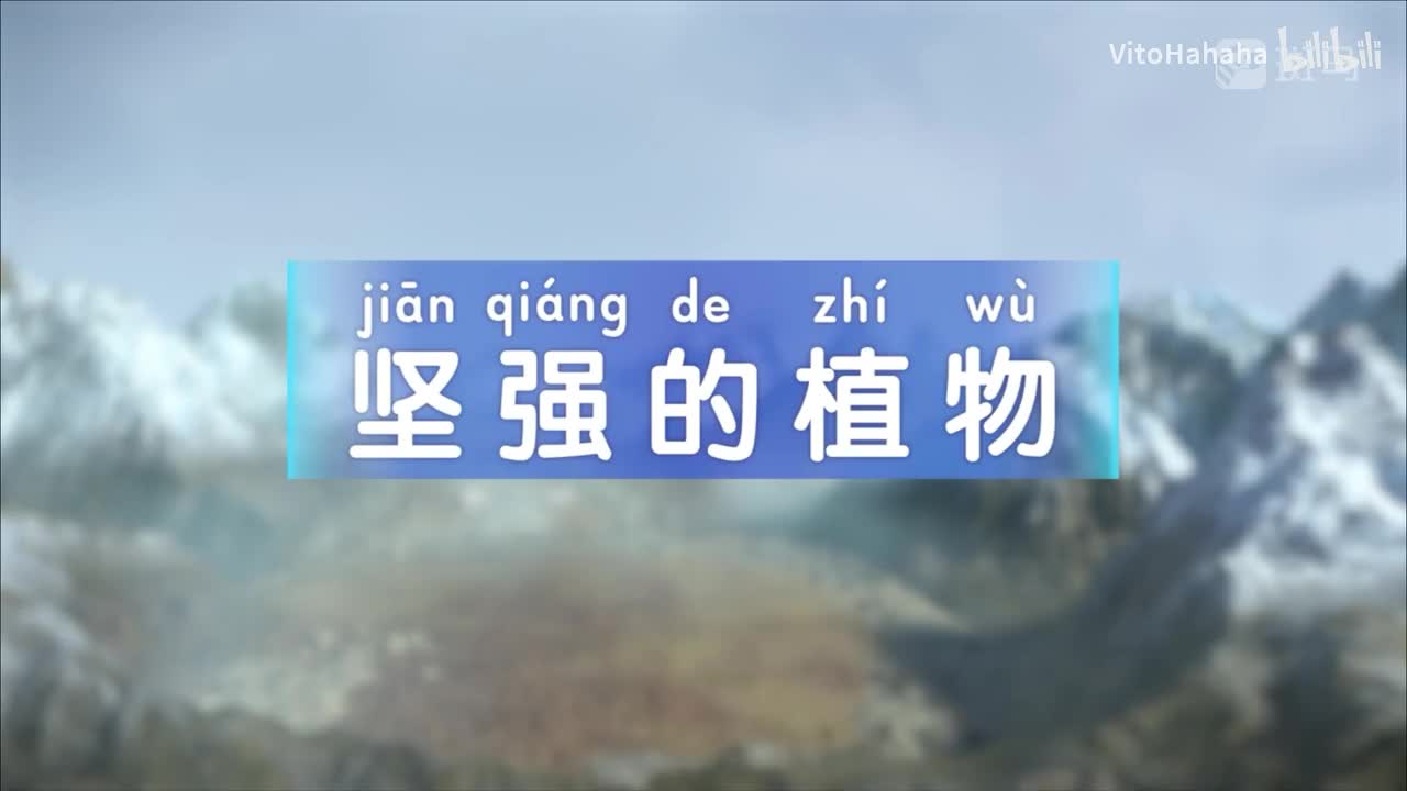 2.10.坚强的植物