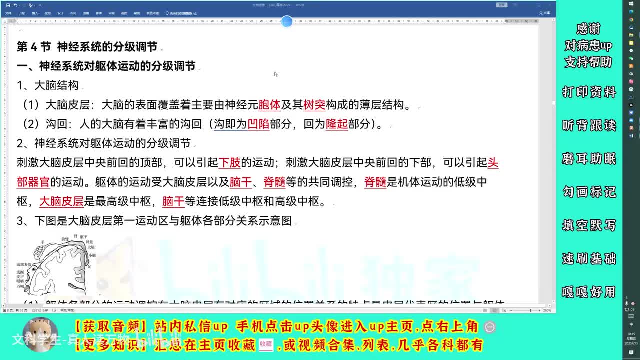 2.4神经系统的分级调节