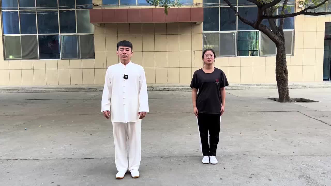 第47节太极步—倒换重心