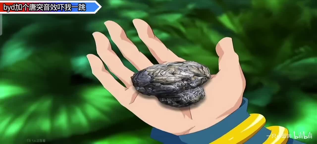 牢潘投［化］石 ［第二集］