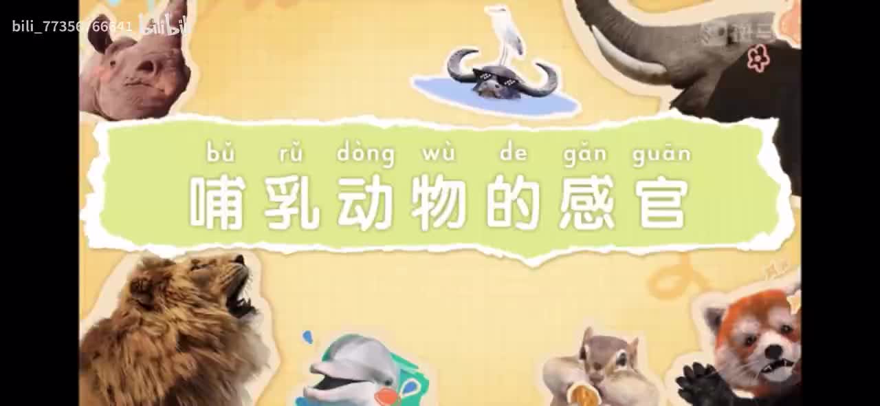 【百科启蒙动画】 B站更新最多的百科动画 搞定儿童科学启蒙 P4：04-哺乳动物的感官
