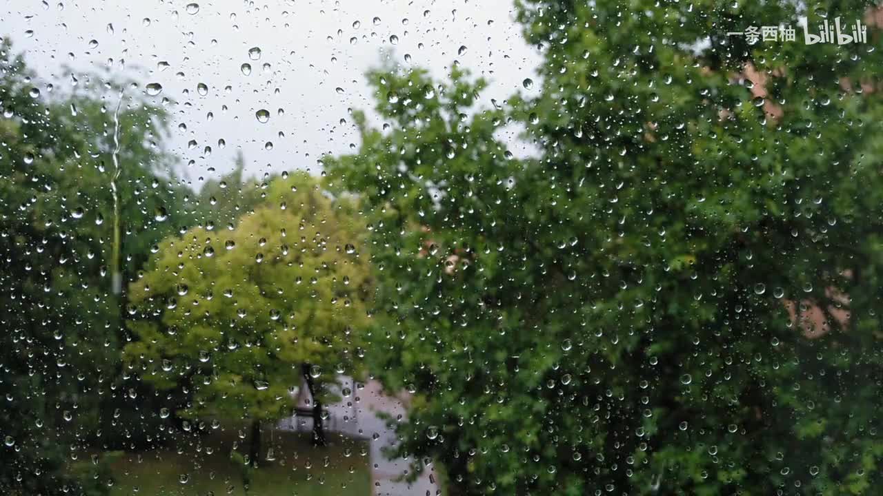 雨中氛围感 (47)