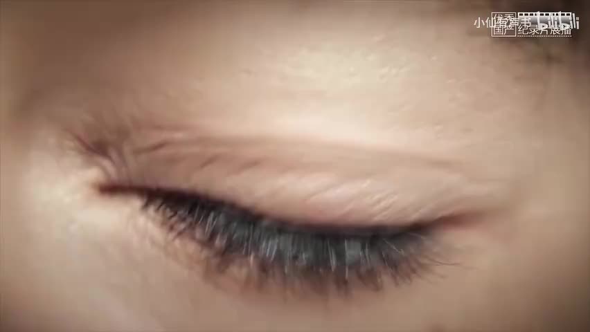 第一集 无用之用（上）