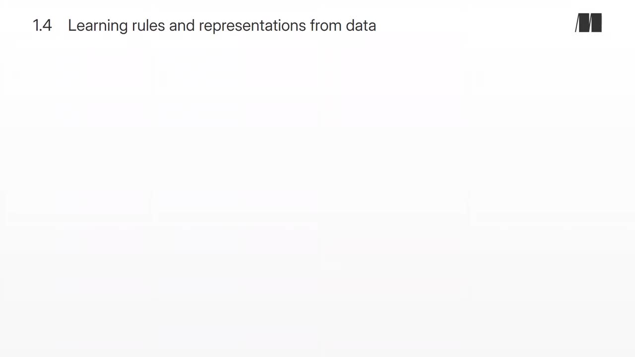 004. Chapter 1. Learning rules and representations from data