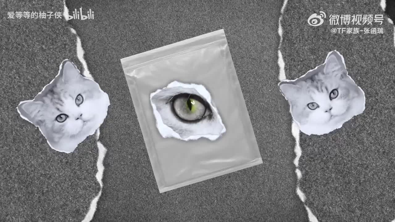 251018 原创歌曲《Tears》