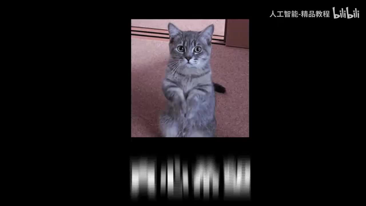 计算机视觉YOLO课程精讲P1