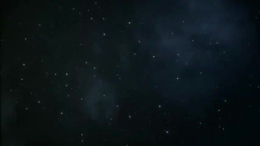 萤火虫的爱情和谎言