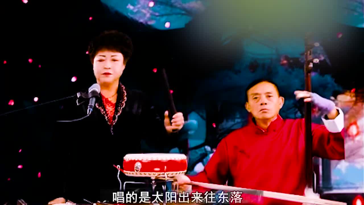 河南坠子 · 《二龙抓恶》肖计英