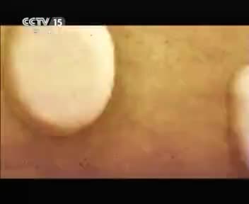 172100_1217