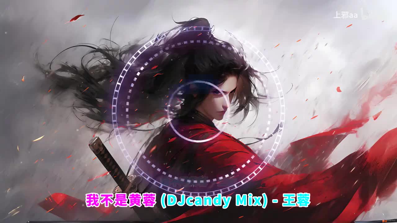 100. 我不是黄蓉 (DJcandy Mix)(DJ Candy版) - 王蓉