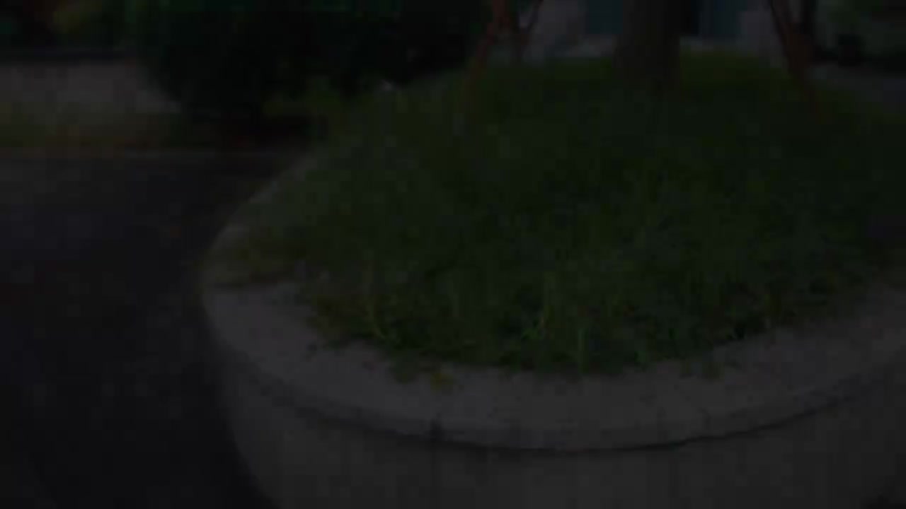 第二章地图全剧情