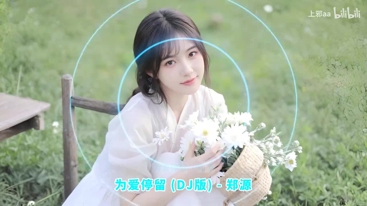 027. 为爱停留 (DJ版) - 郑源