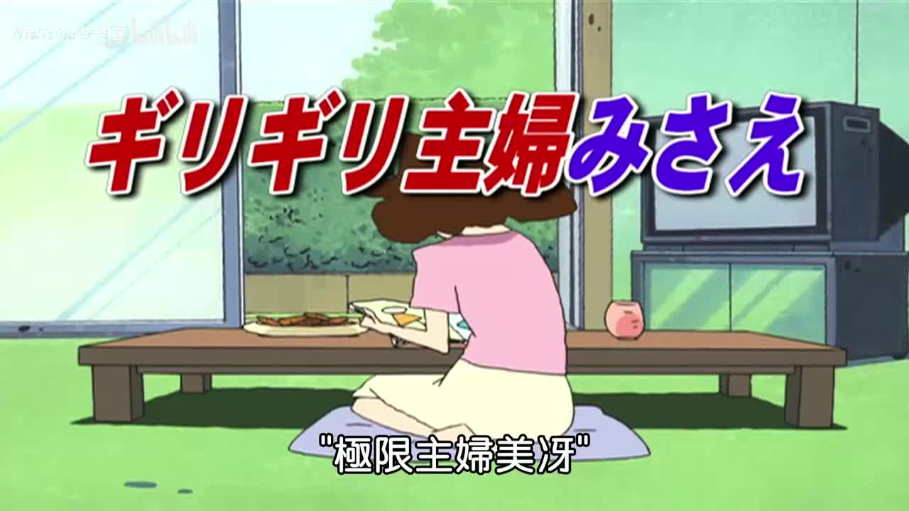 47极限主妇美伢