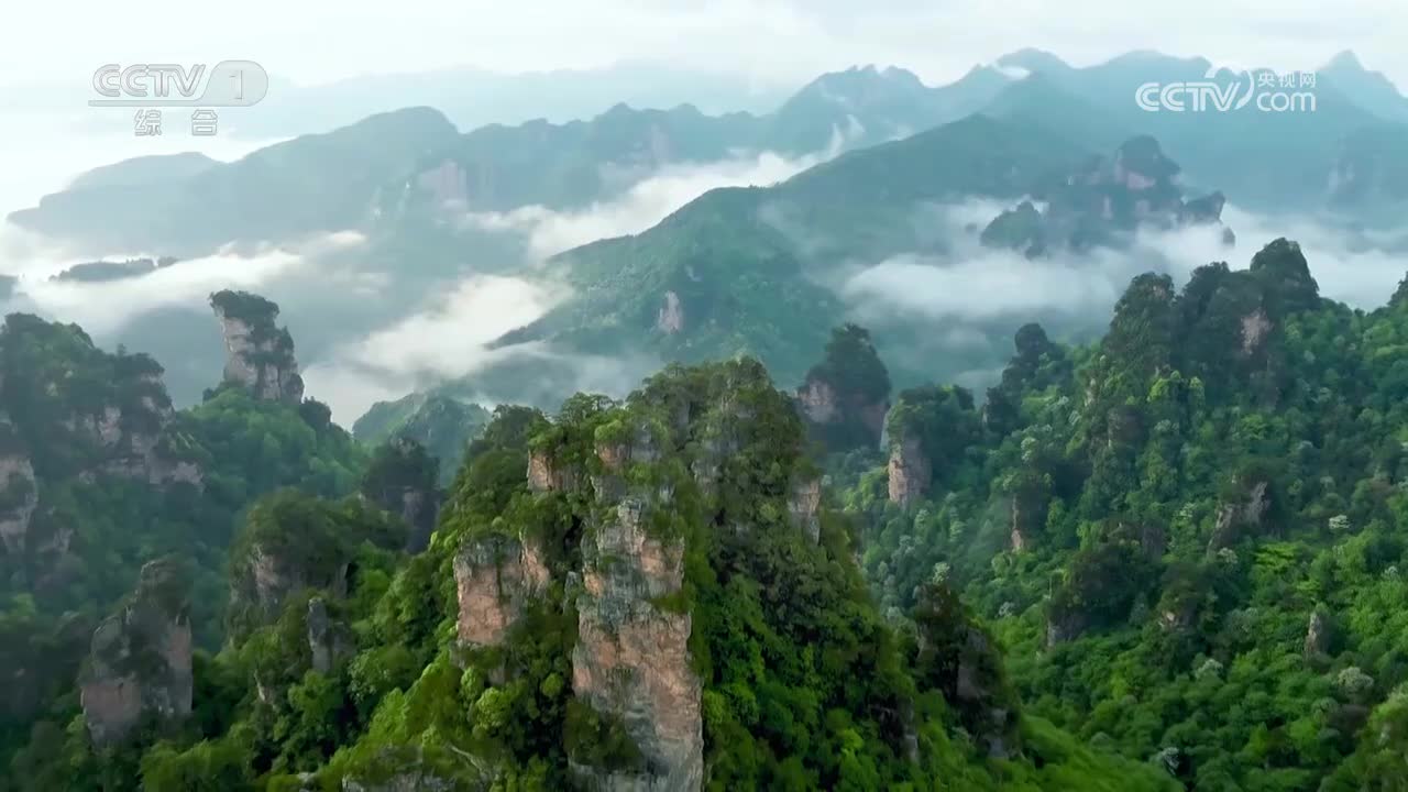 绿色国宝