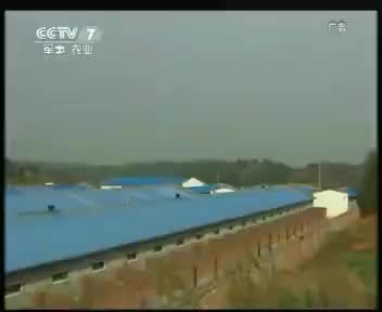 宏鑫 2012.1.16