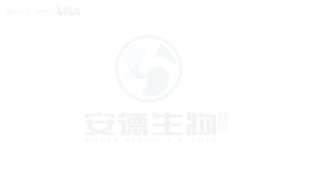 23.DNA的结构与复制