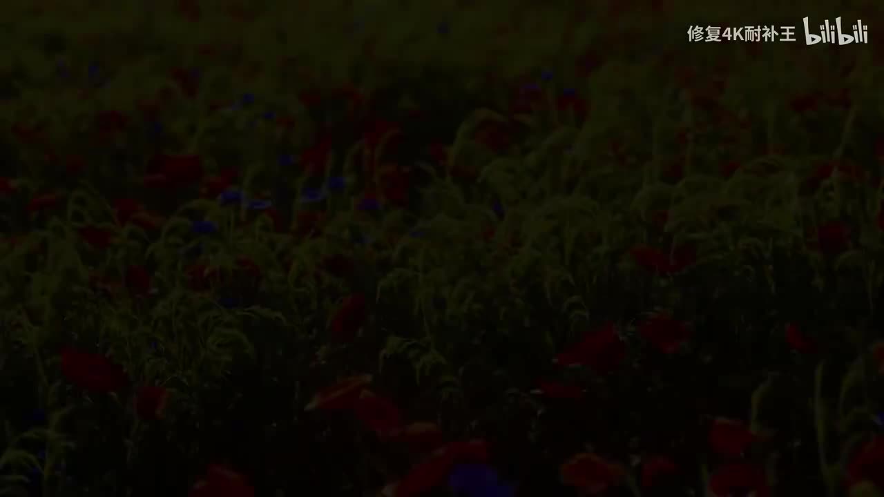 马大帅第一部1-8