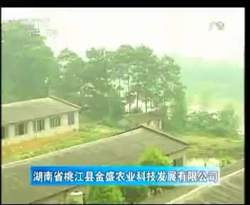 金盛农业 2012.11.11