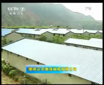 泰源 2012.8.1
