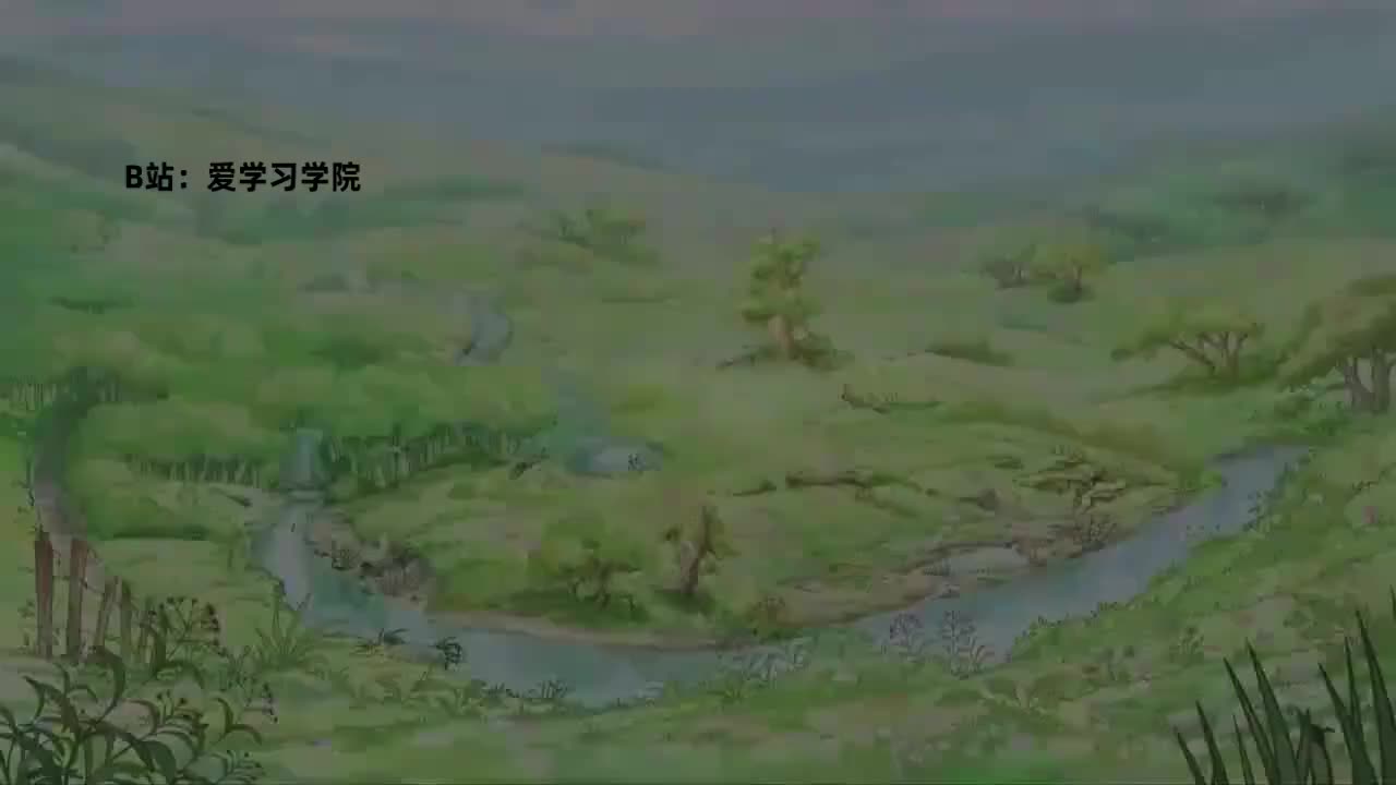 005 Big Foot 大脚丫