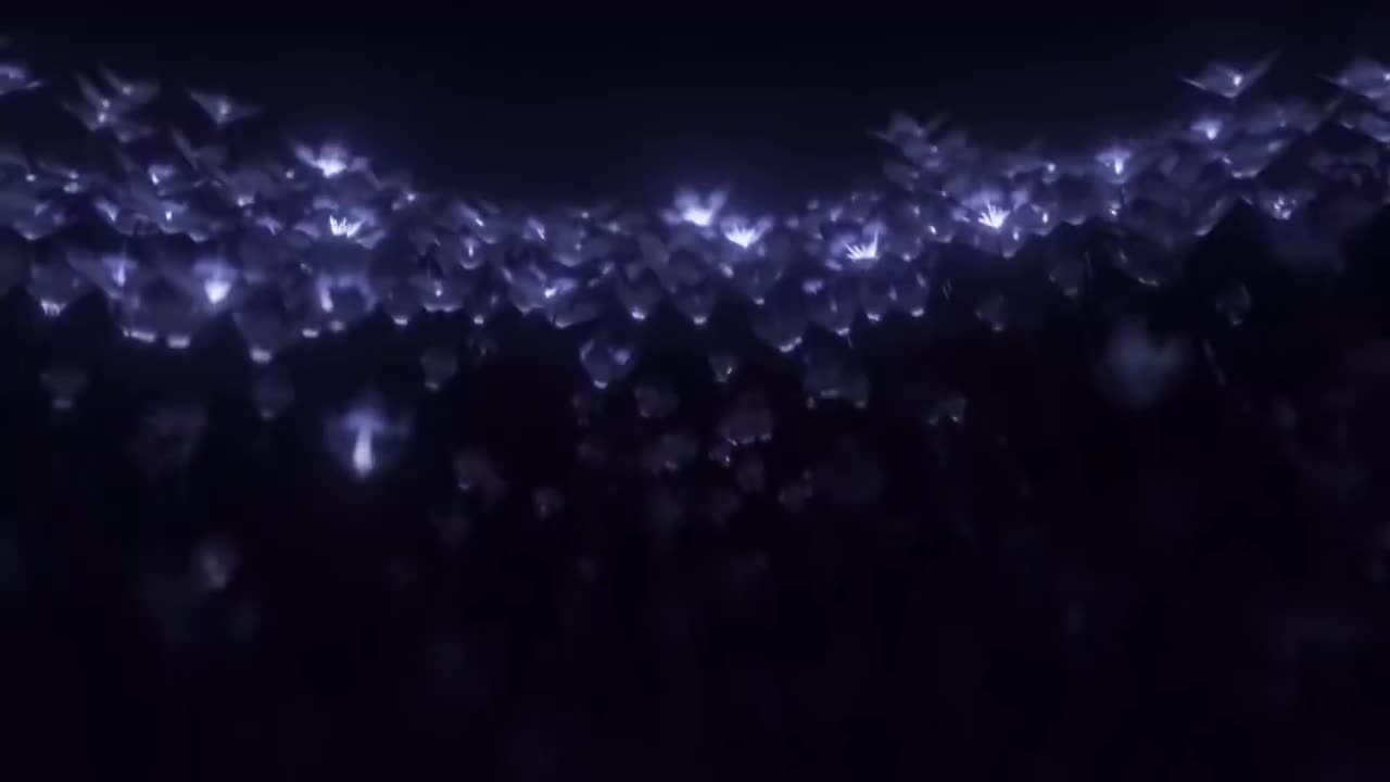 第二十九集 家族