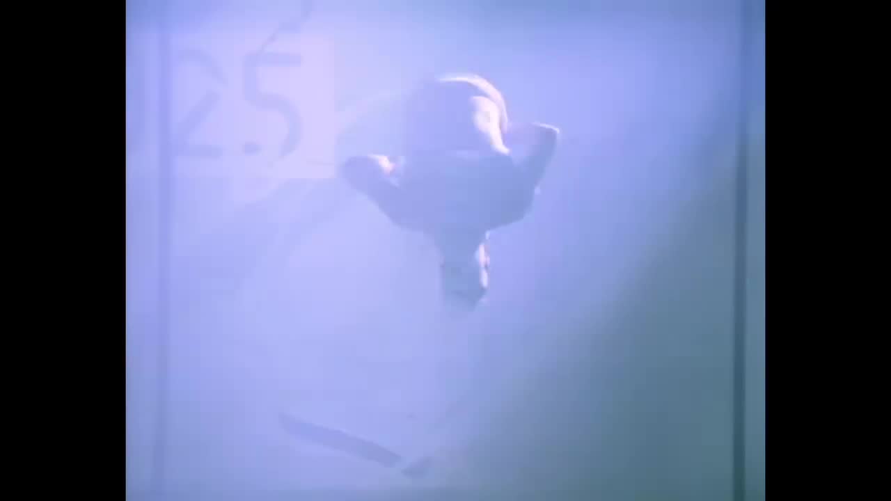 Bananarama - Love In The First Degree