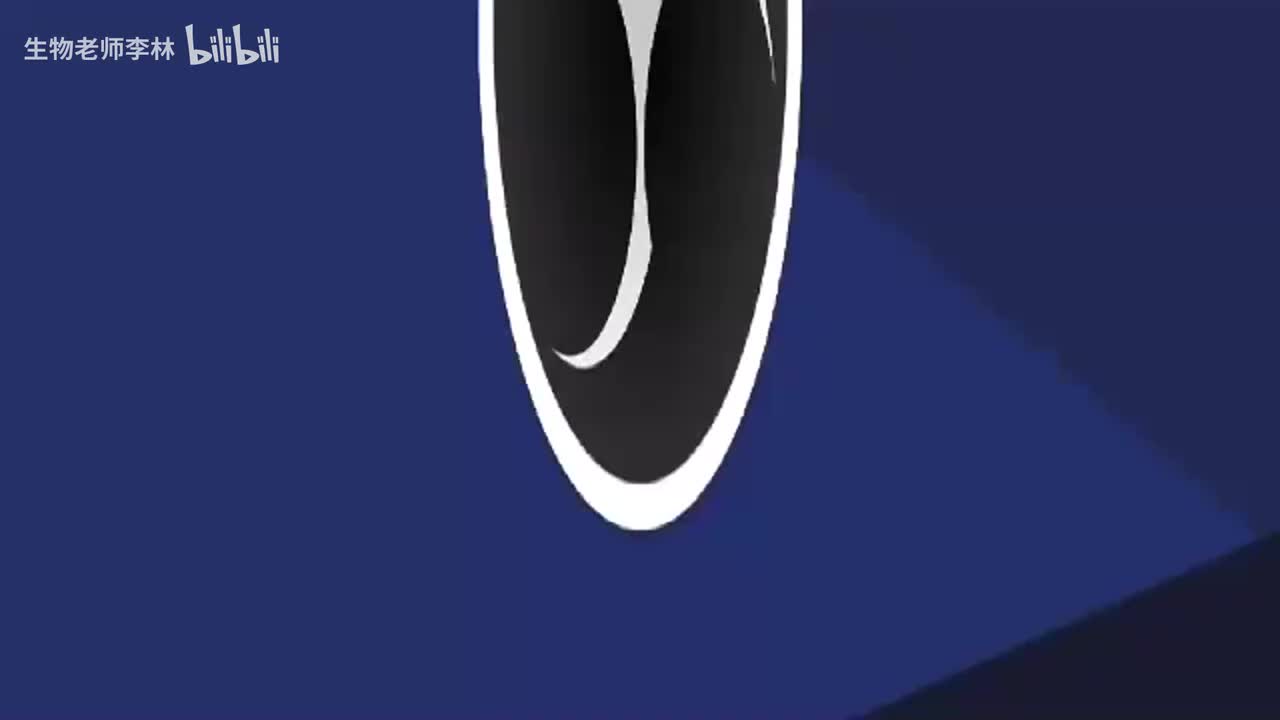 38.9月直播答疑课