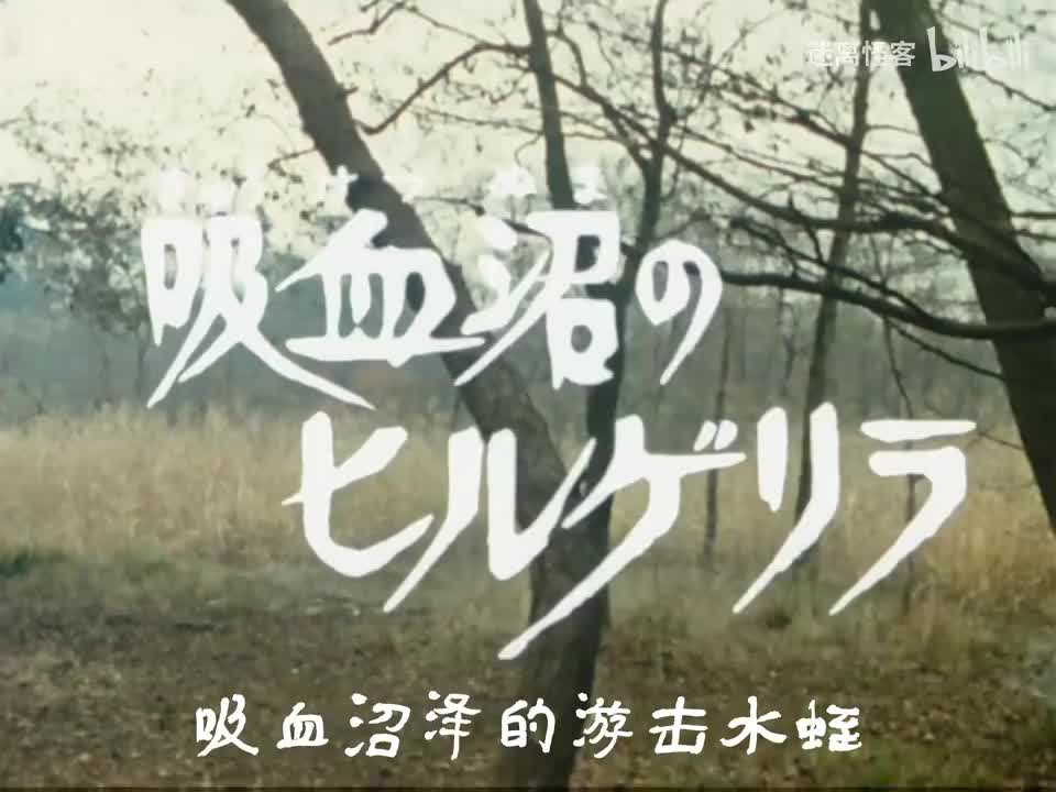 48.吸血沼泽的希尔盖利拉
