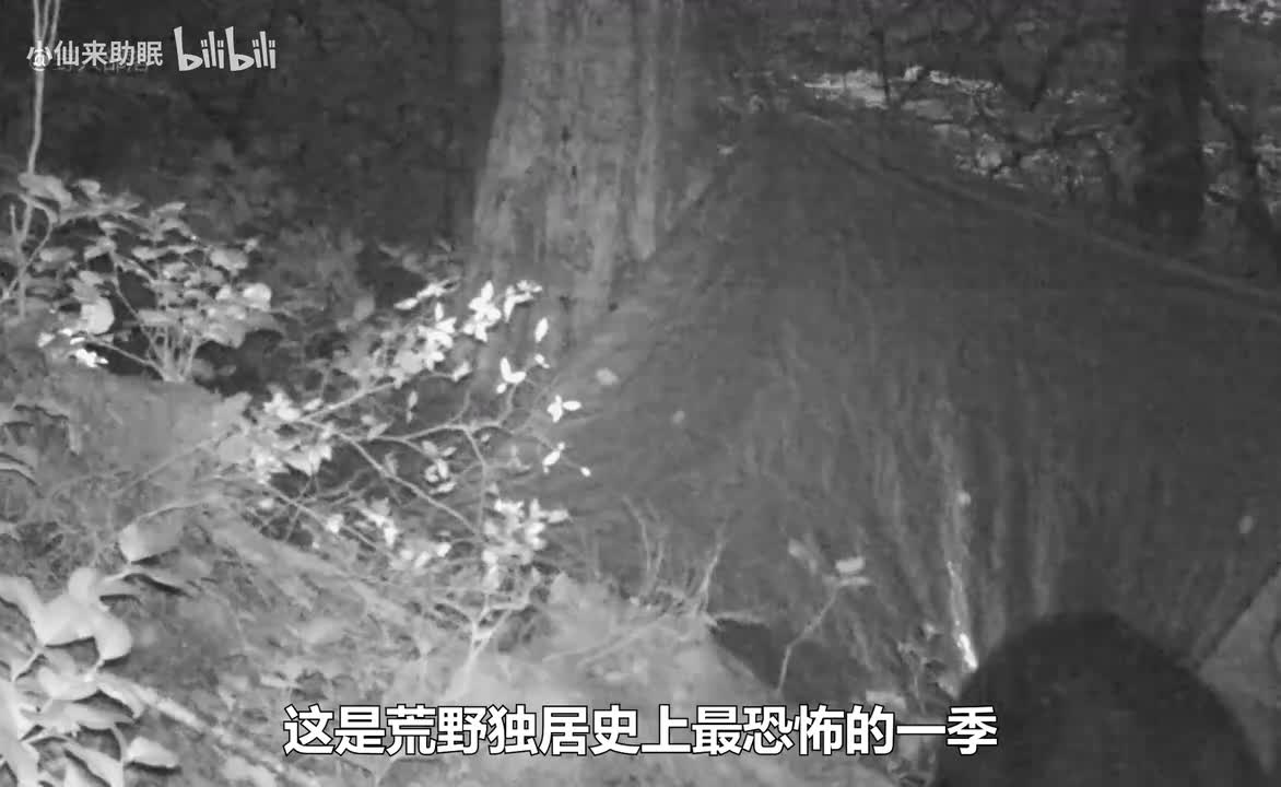 一口气看完荒野独居第一季，据说有选手成为了黑熊的午餐_20250606_093133