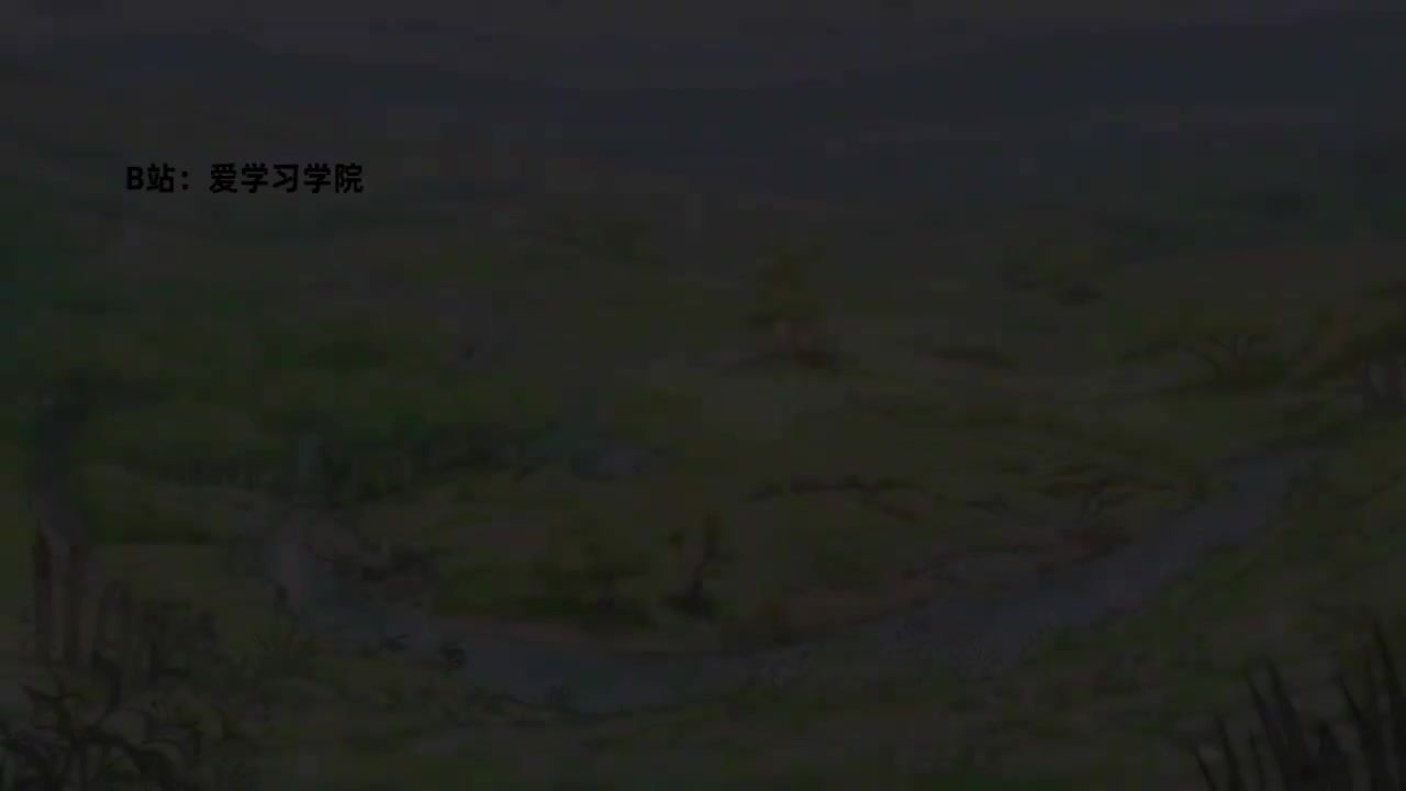 044 CompilationFun With Little Field Mouse