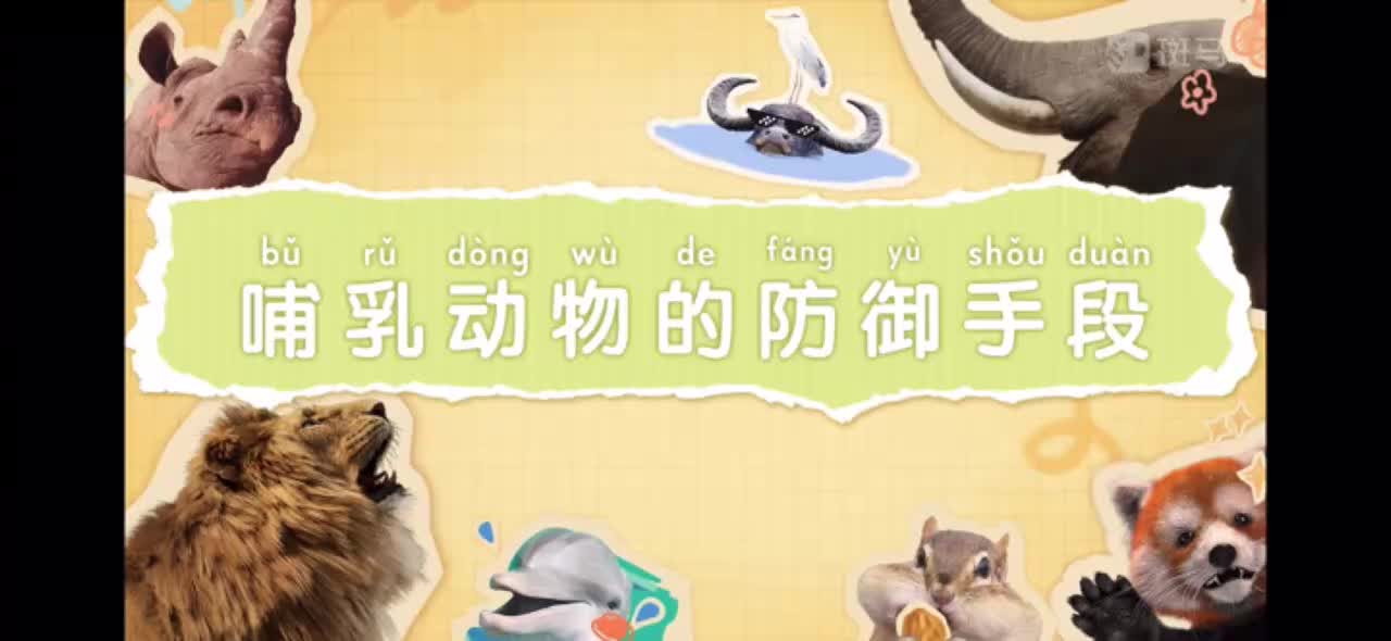 07-哺乳动物的防御手段