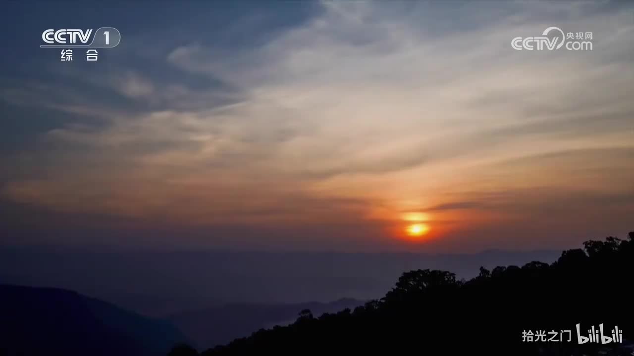 第3集 生态之美