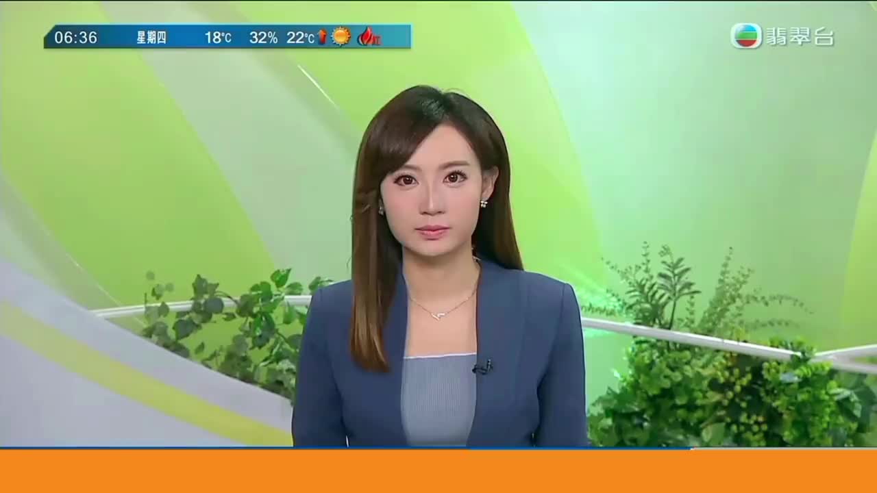 香港宏福苑五级火(2)