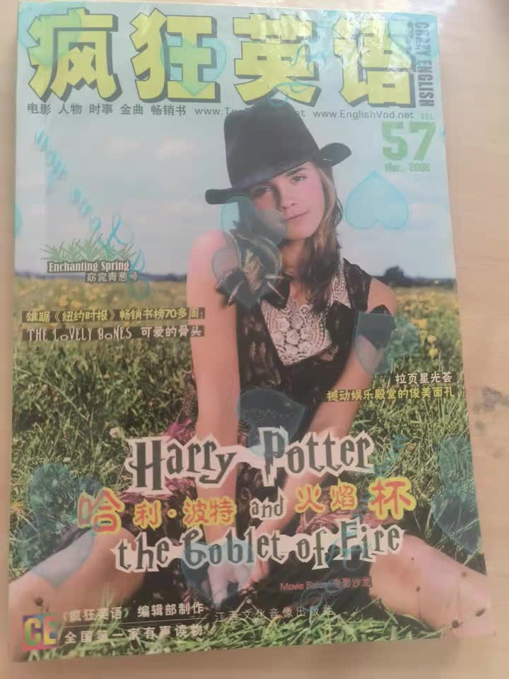 04 Harry's New Magical World