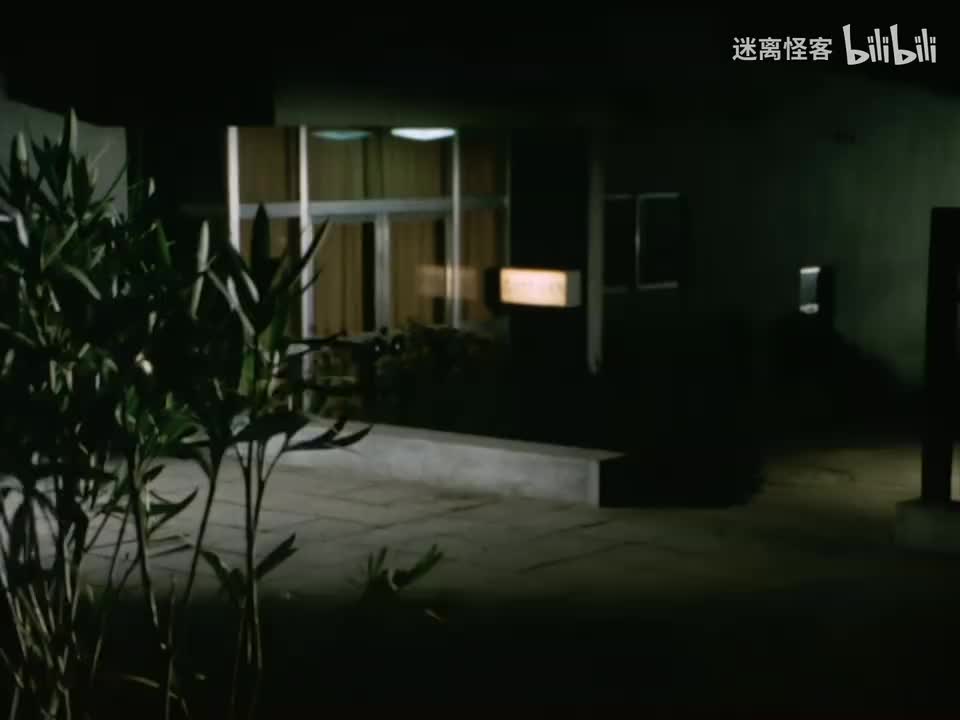 12.杀人壁虎男