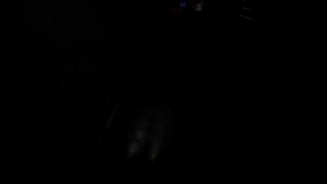 RE9鹪木市 里昂