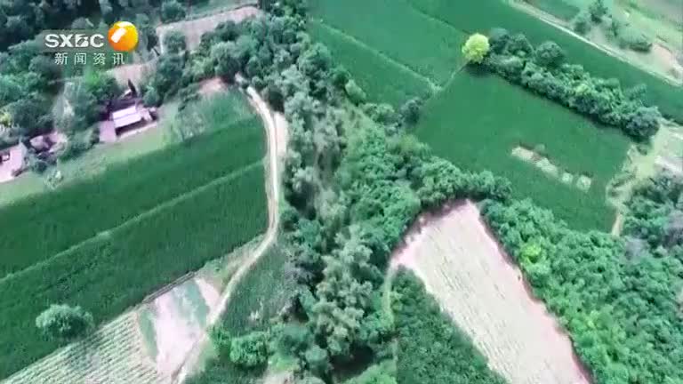 beb7bb3c-c3af-11f0-8f64-00110a6cb16c_merge_1763382313